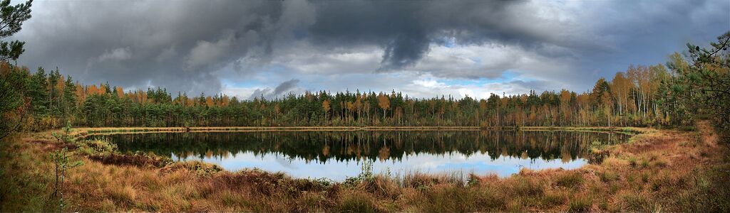 ��. ��������